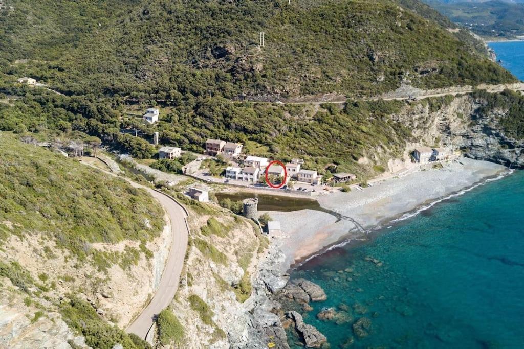 Cap Corse - Grande Maison Au Bord De Mer - Pmr Grillasca Exteriör bild
